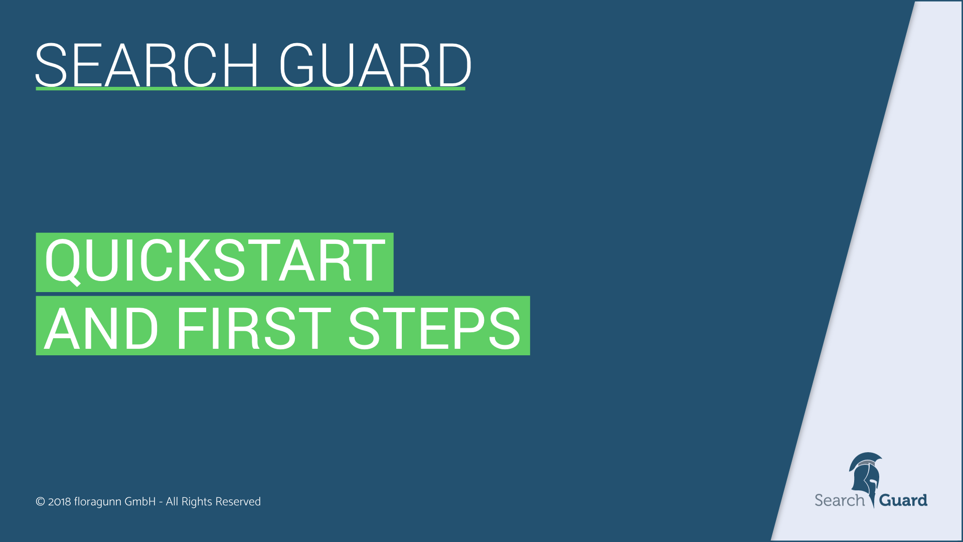 Quickstart and first steps